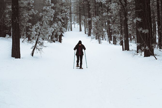 Private Snowshoeing Adventure from Badger Pass to Dewey Point - What to Expect on Your Snowshoeing Adventure