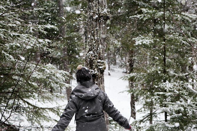 Private Snowshoeing Adventure from Badger Pass to Dewey Point - Who Will Love This Tour?