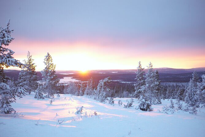 Private: Snowshoeing Safari in spectacular National Park - Key Points