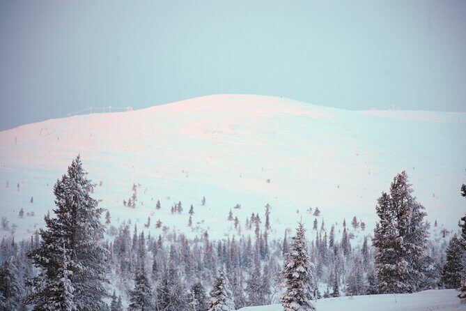 Private: Snowshoeing Safari in spectacular National Park - Who Will Love This Tour?