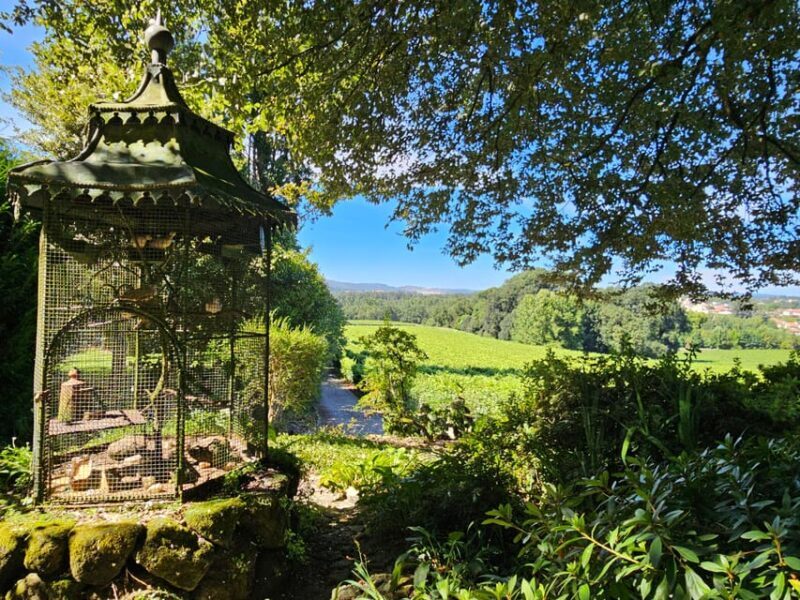 Private Sommelier Tour (Verde e Douro): 3 Wineries and Lunch - Practical Details and Tips