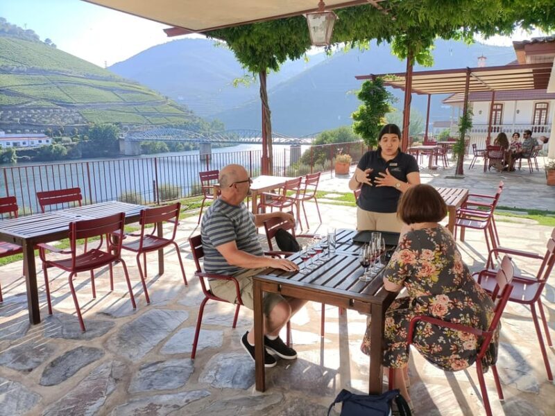 Private Sommelier Tour (Verde e Douro): 3 Wineries and Lunch - Final Thoughts: Who Will Love This Tour?