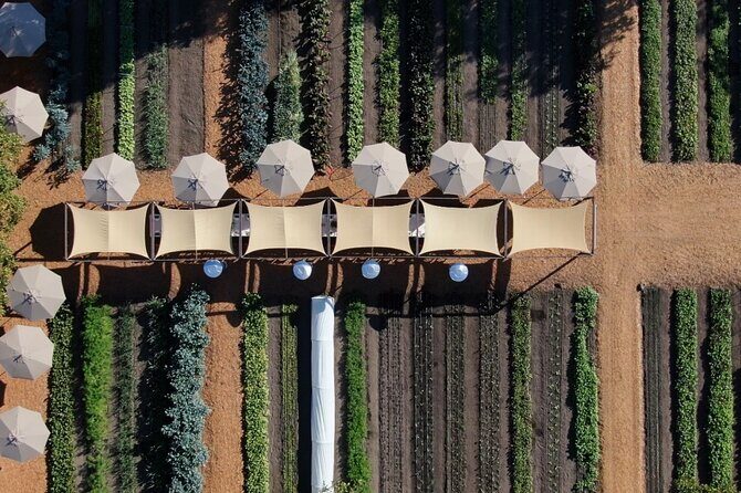 Private Sonoma Wine Tour up to 6 Guests - Who Should Consider This Tour?