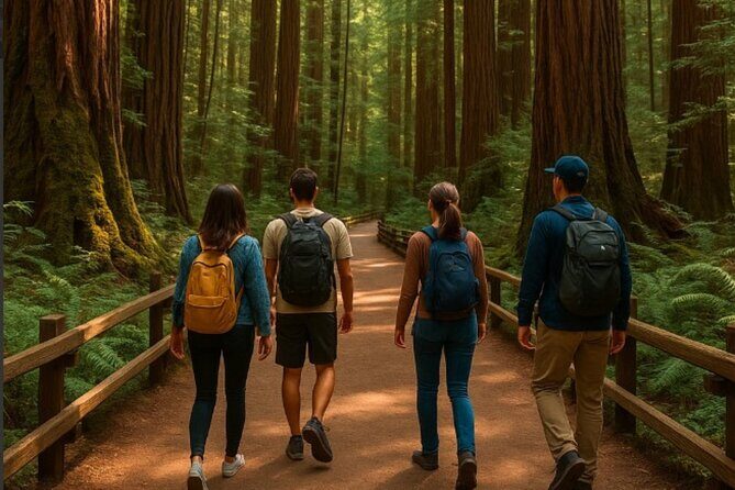 Private Sonoma Winery Tour - Practical Tips for Potential Participants