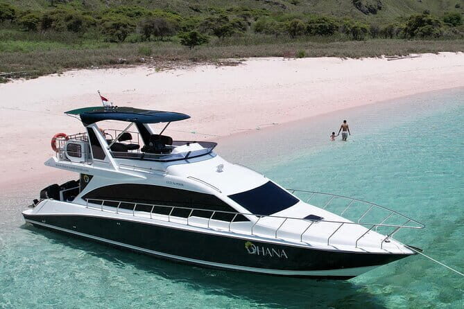Private Speedboat Day Tour : Explore Komodo's Best - Practical Tips