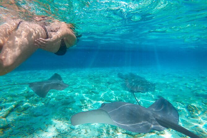Private Speedboat Day Tour : Explore Komodo's Best - Who Is This Tour Best For?