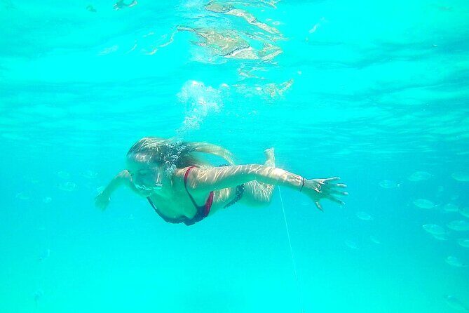 Private Speedboat tour "Zadar Islands - Off the Beaten Path" - A Close Look at the Private Speedboat "Zadar Islands - Off the Beaten Path" Tour