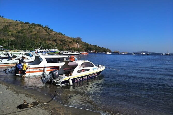 Private Speedboat transfer Between Lombok and Gili Islands - A Deep Dive into Your Speedboat Transfer Experience