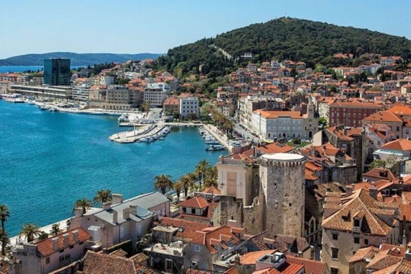 Private Split & Trogir Wine Tasting & Vineyard with Sea View - Who Will Love This Tour?