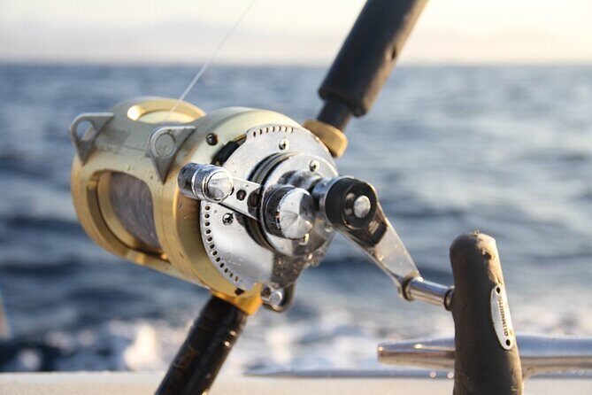 Private Sport Fishing Charter Experience in Cabo San Lucas (5 Hours) - Authentic Testimonials & Authenticity