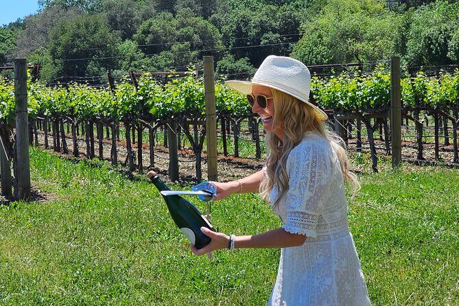 Private Sprinter Tour of Napa Valley - Key Points