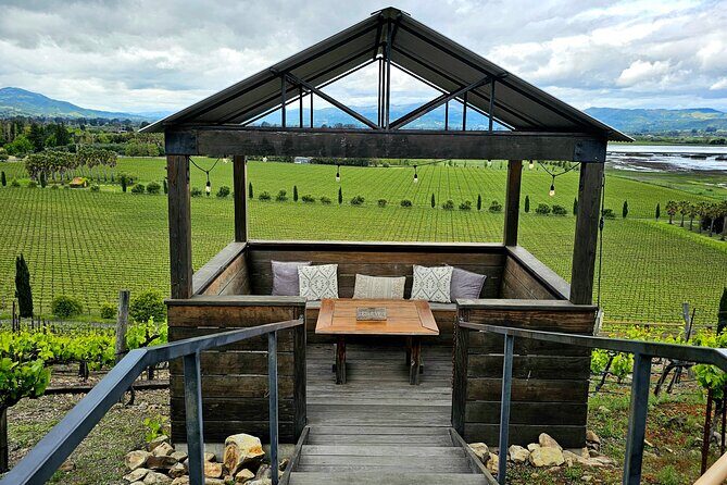 Private Sprinter Tour of Napa Valley - Practical Aspects and What Travelers Should Keep in Mind
