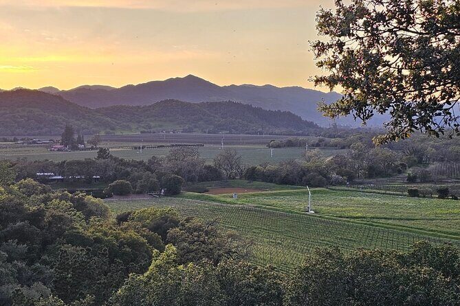 Private Sprinter Tour of Napa Valley - FAQ