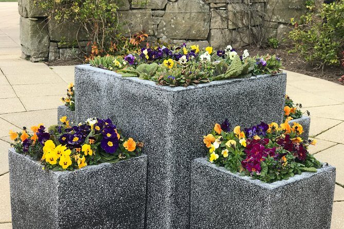 Private St Andrews Day Guided Tour-Personalised & Bespoke - A Deep Dive into the Experience