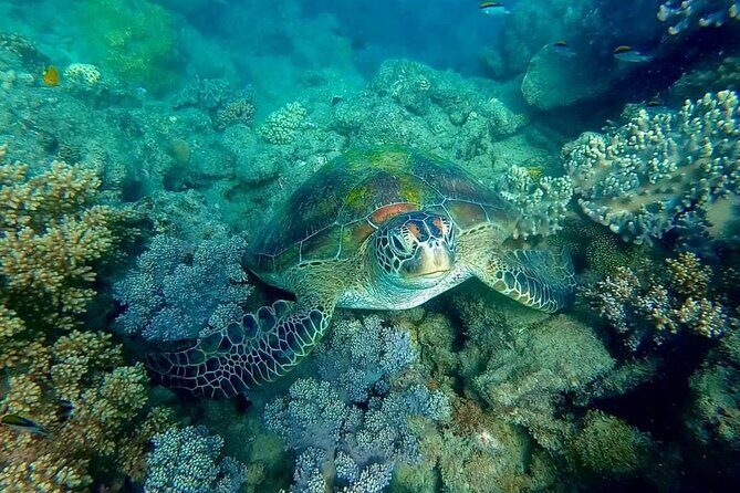 Private Standard Charter Experience in Whitsundays - FAQs