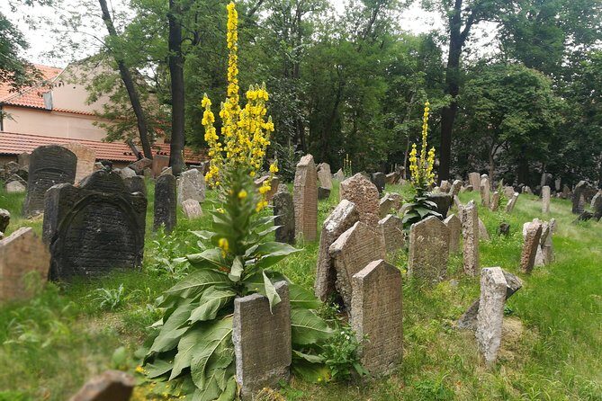 Private Stories of Jewish Prague Walking Tour - FAQ