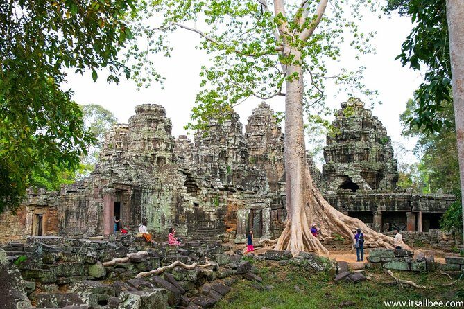 Private sunrise 'small tour' of Angkor Wat with car or van & Guide - Who Should Choose This Tour?