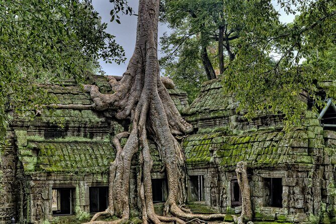 Private sunrise tour to Angkor Wat & other highlights with Professional Guide. - Final Thoughts: Who Should Book This Tour?