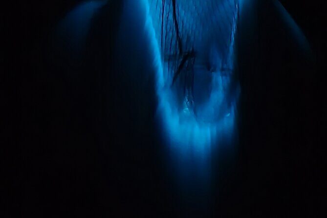 Private Sunset and Bioluminescence Tours in Cocoa Beach - What Makes This Tour Special?