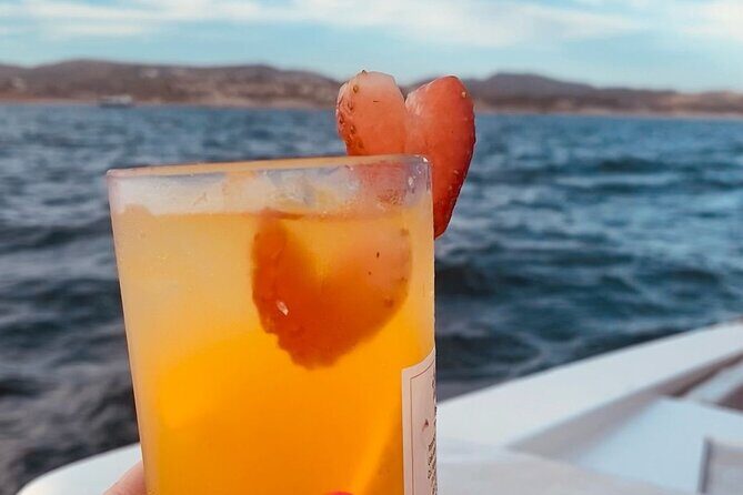 Private Sunset Cruise in San Jose del Cabo Appetizers,open bar - Authentic Feedback and Real Experiences
