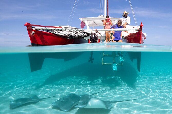 PRIVATE Sunset Tour: Moorea Snorkeling on a Catamaran named Taboo - What’s Included & What’s Not
