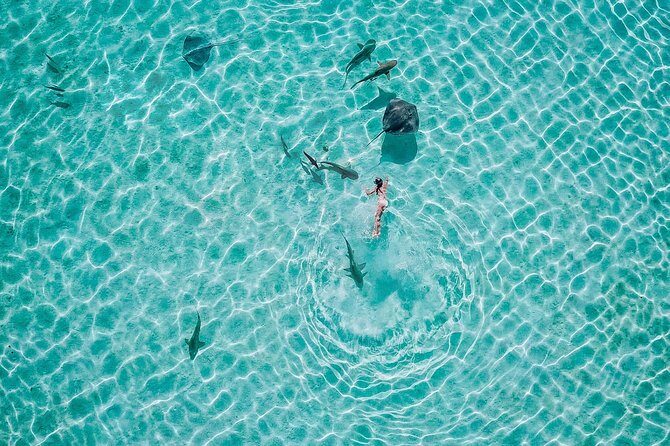 PRIVATE Sunset Tour: Moorea Snorkeling on a Catamaran named Taboo - Frequently Asked Questions