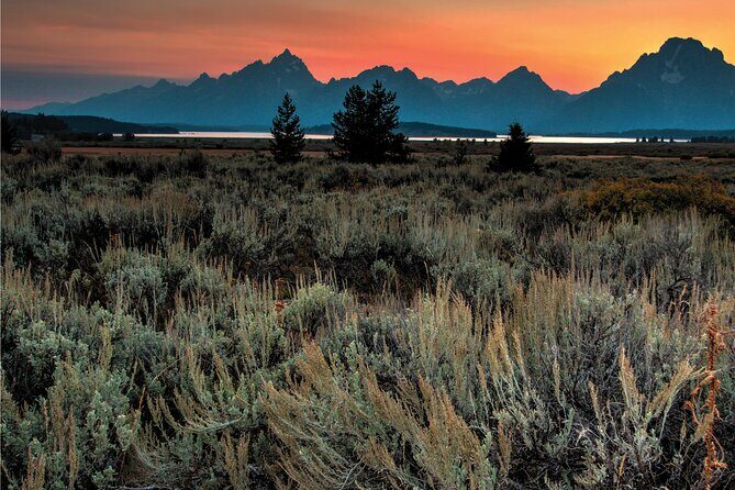 Private Sunset Wildlife Dinner Safari From Jackson WY - Final Thoughts: Is It Worth It?