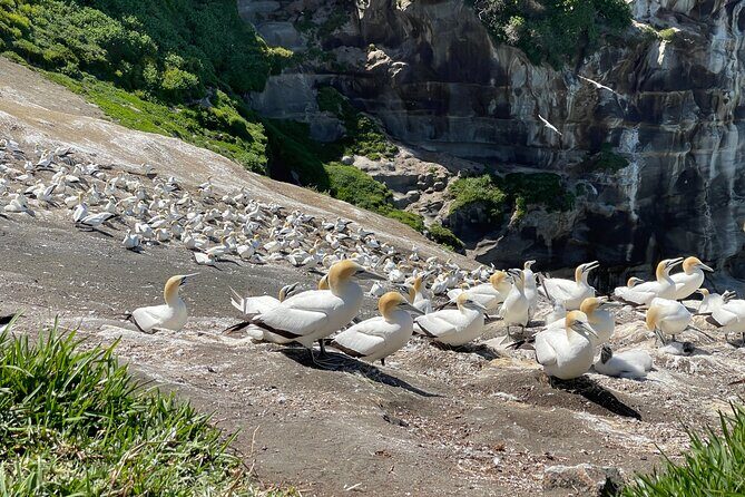 [PRIVATE] SUNSET. Wine. Hot Pool. Dinner - Final Thoughts: Is It Worth It?