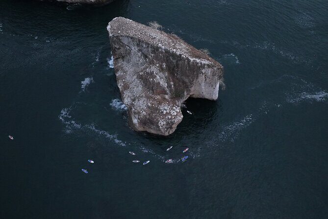 Private SUP Yoga and Snorkeling Adventure to Los Arcos - Analyzing the Cost and Value