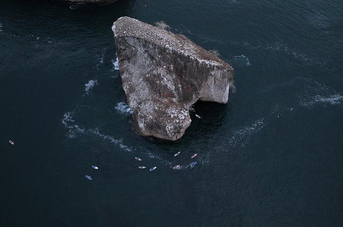 Private SUP Yoga and Snorkeling Adventure to Los Arcos - Wrapping It Up