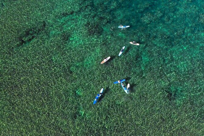 Private Surf Lesson for 3-5 People in North Shore Oahu - Who Should Book This Tour?