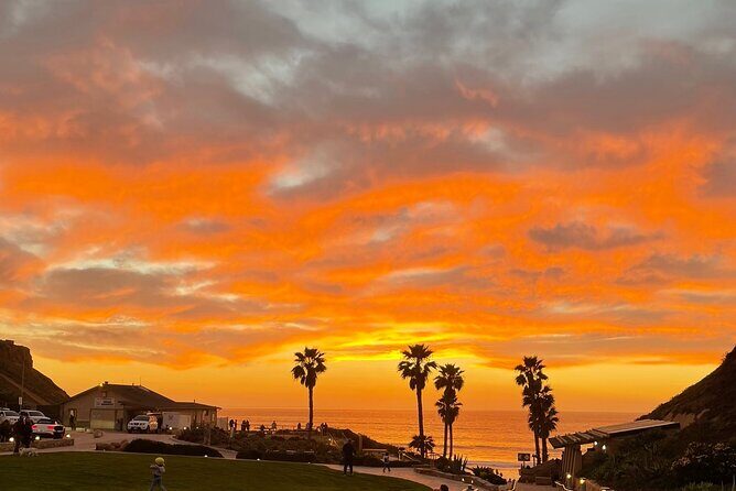 Private Surf Lesson Solana Beach Ride the Waves Fletcher Cove 2hr - Key Points