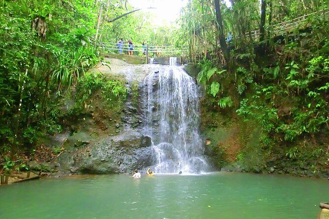 Private Suva Nature and Waterfall Tour - The Sum Up