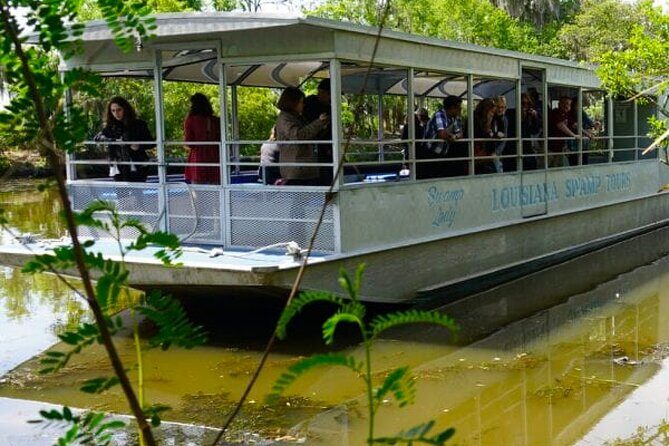 Private Swamp Tour on Pontoon Boat with Private Transportation - Key Points