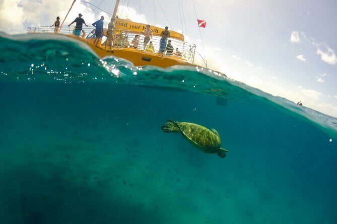 Private Swim and Sail Charter (Kewalo Harbor) - Final Thoughts