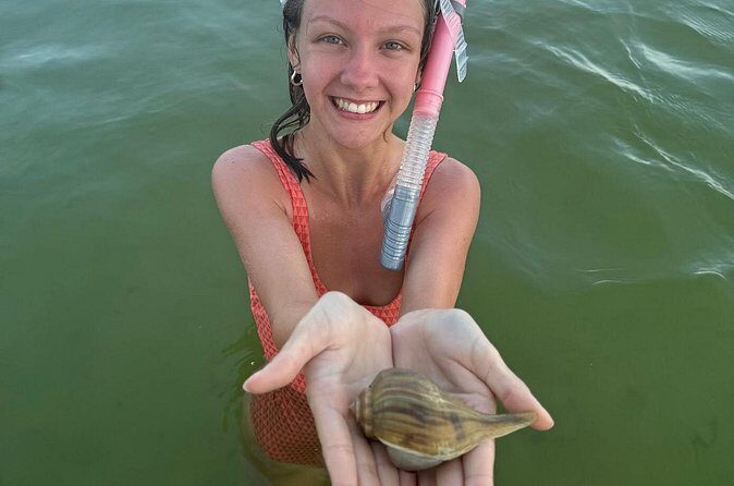 Private Swim with Dolphins And Snorkeling Tour - What Could Be Better?