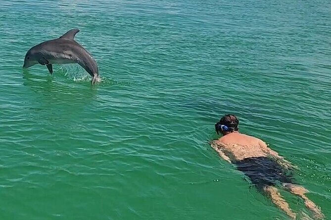 Private Swimming with Dolphins in Panama City Beach Florida - An In-Depth Look at the Tour