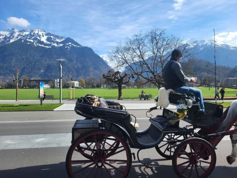 Private Swiss Alps Tour, Lakes, Villages, Waterfalls - FAQ