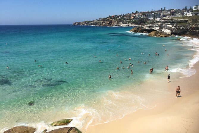 Private Sydney City Tour: The Key Attractions - Who Should Book This Tour?