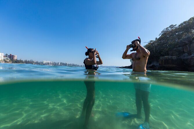 Private Sydney Snorkeling Experience: Explore Cabbage Tree Bay - Who Should Consider This Tour?