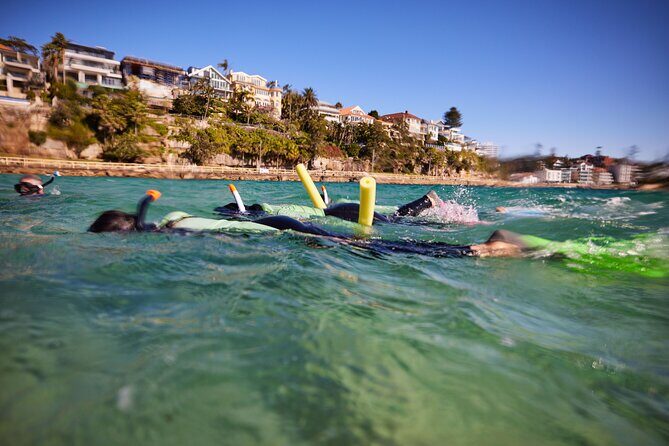 Private Sydney Snorkeling Experience: Explore Cabbage Tree Bay - FAQ