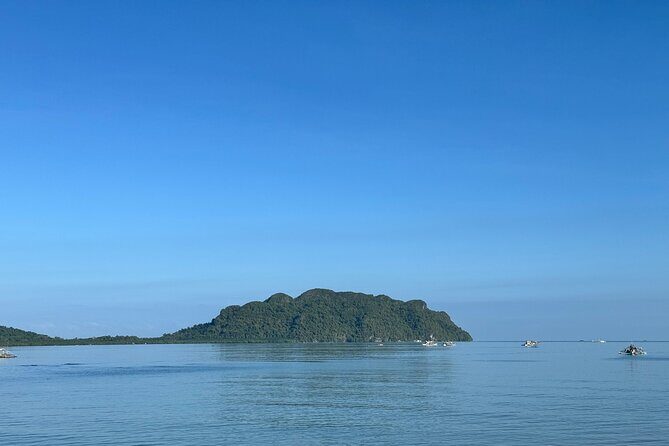 Private Tabon Cave Day Tour from Puerto Princesa City - Scenic Lunch at Tabon View Restaurant