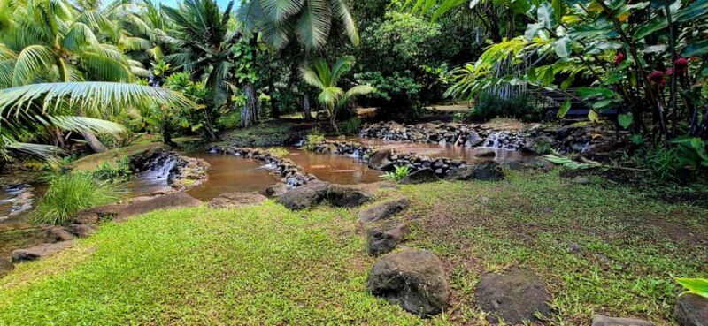 Private Tahiti Island Tour  5.5 Hours - Who Would Love This Tour?