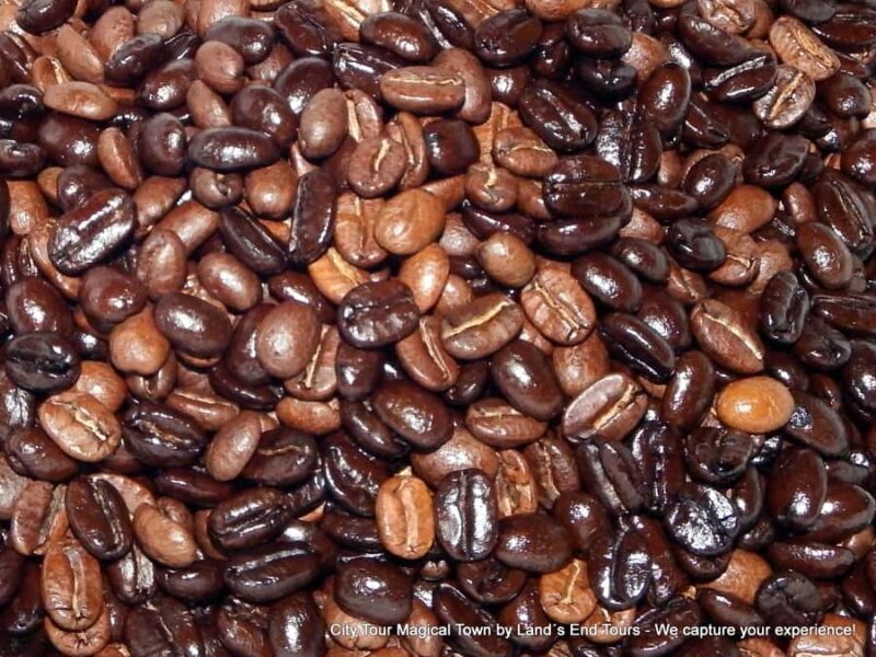 Private Tailor-Made Tour Todos Santos - The Sum Up