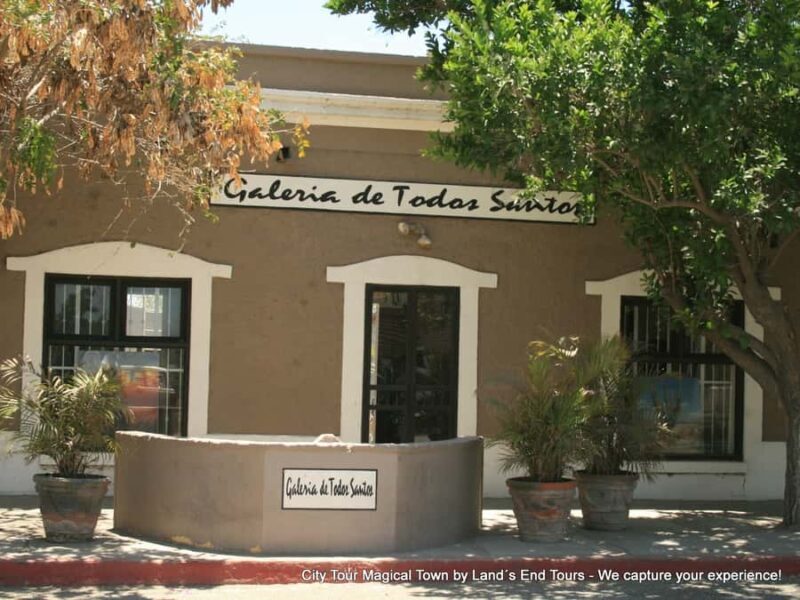 Private Tailor-Made Tour Todos Santos - FAQ