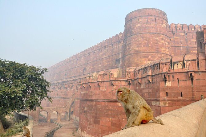 Private Taj Mahal & Agra Tour by Express Train From - Delhi - Transportation & Logistics