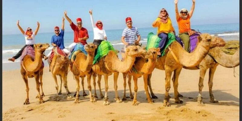 Private Tangier Tour from Gibraltar including Camel & Lunch - Key Points