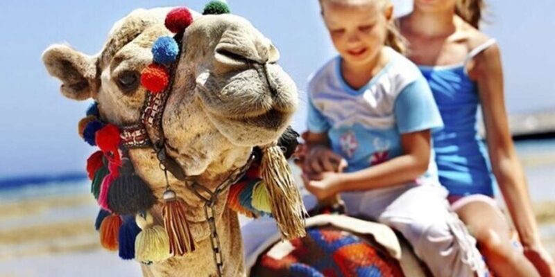 Private Tangier Tour from Gibraltar including Camel & Lunch - Practical Details and Tips