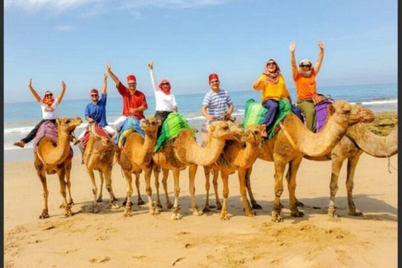 Private Tangier Tour with Lunch and Camel Ride - Final Thoughts