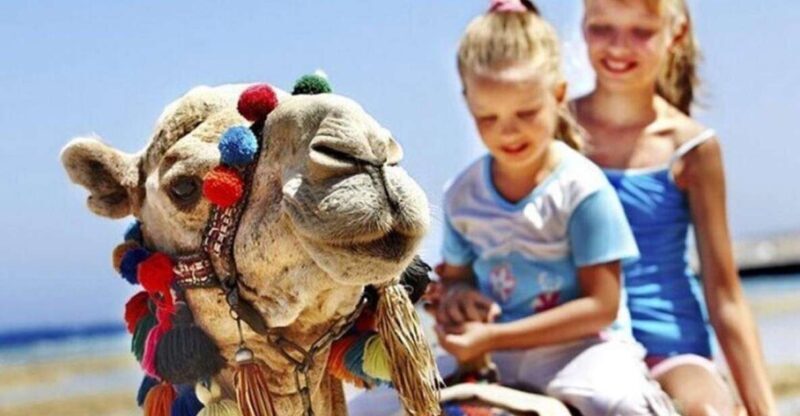 Private Tangier Tour with Lunch and Camel Ride - FAQ